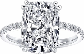 4.0ct Elongated Cushion Cut Engagement Ring for Women,Sterling Silver Simulated Diamond Promise Ring