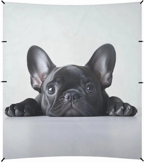 Beach Canopy Tent Adorable French Bulldog Puppy Outdoor Patio Sun Shade 9.2 × 10.5 FT Floral Camping Sun Shelter Yard Sunshade with Sand Anchor Poles
