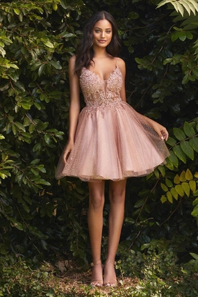 Ladivine Dress CD0189