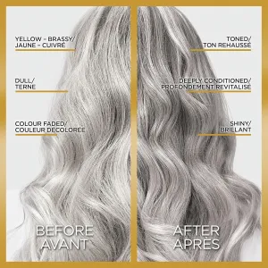 L'Oreal Paris Le Color Gloss One Step In-Shower Toning Hair Gloss, Neutralizes Brass, Conditions & Boosts Shine, Silver, 4 Ounce (Pack of 2)