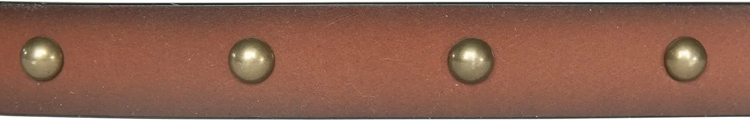 Lucky Brand Women's Leather Bold Fashion Statement Belts