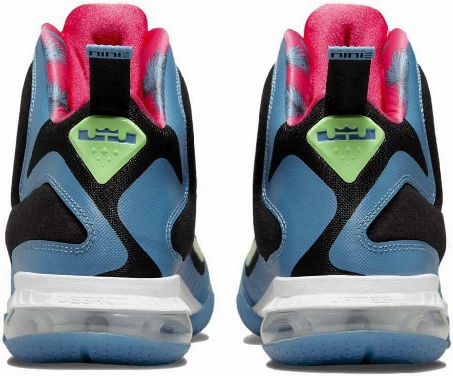 Nike Lebron IX