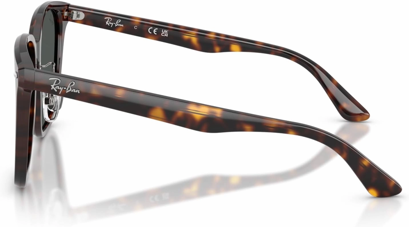 Ray-Ban Rb2206d Square Sunglasses