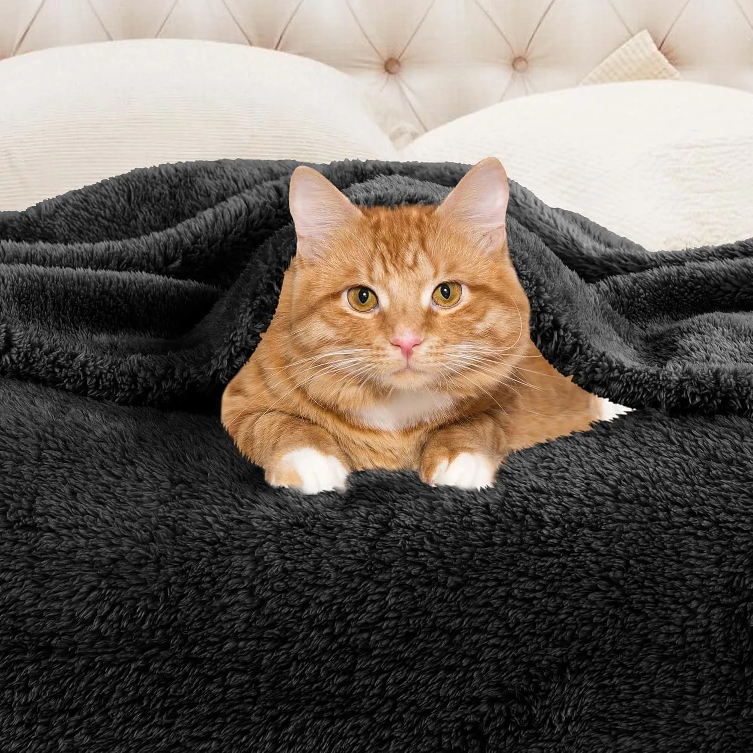 Superior Classic Solid Fleece Blanket, Thick, Cozy, Warm Blankets, Velvety Soft Plush Bedding and Sofa Throw, Cute Bedroom Decor, Fuzzy Cover, Medium Weight Comfort Essentials, Throw XL, Black