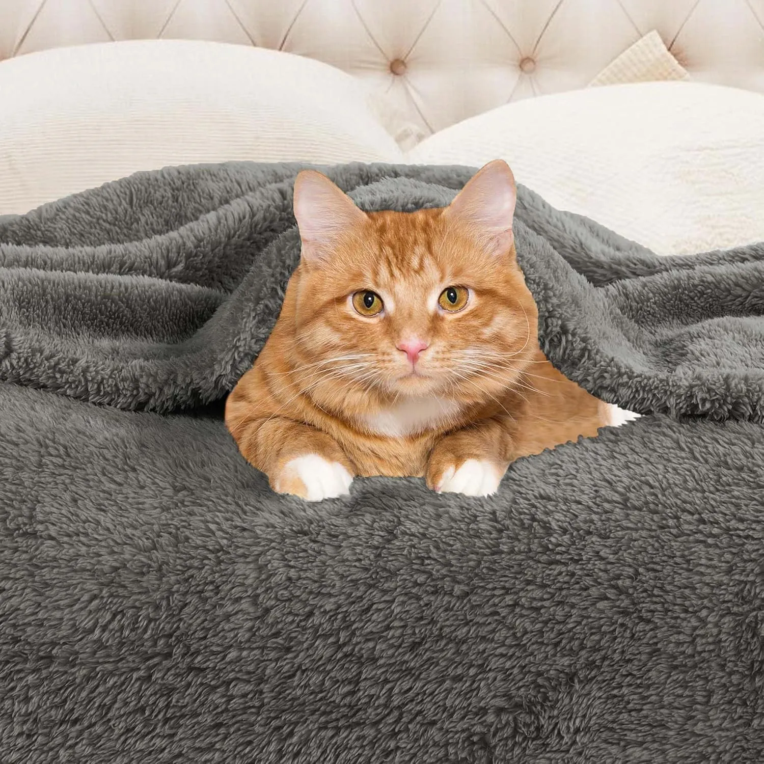 Superior Classic Solid Fleece Blanket, Thick, Cozy, Warm Blankets, Velvety Soft Plush Bedding and Sofa Throw, Cute Bedroom Decor, Fuzzy Cover, Medium Weight Comfort Essentials, Throw XL, Charcoal
