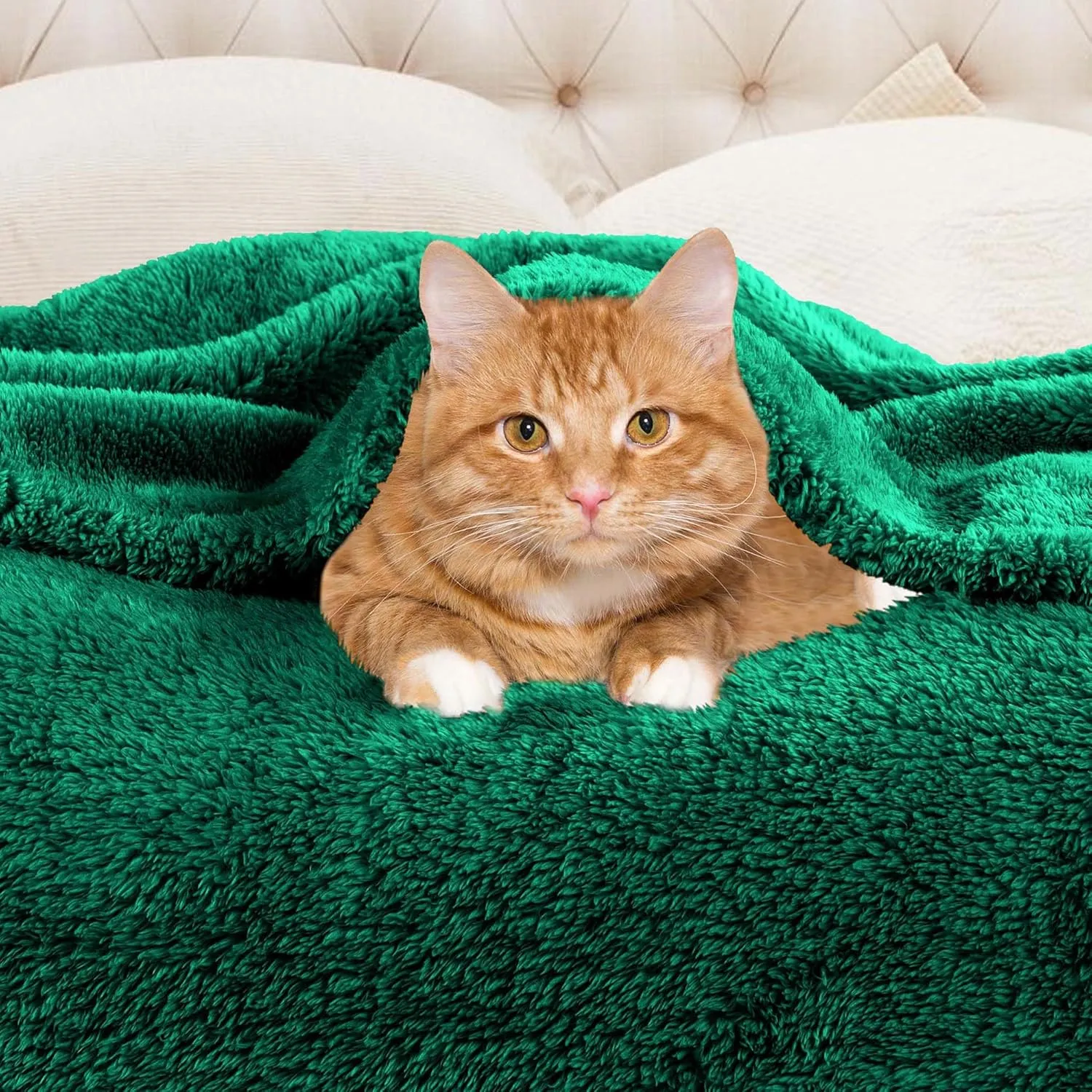 Superior Classic Solid Fleece Blanket, Thick, Cozy, Warm Blankets, Velvety Soft Plush Bedding and Sofa Throw, Cute Bedroom Decor, Fuzzy Cover, Medium Weight Comfort Essentials, Throw XL, Evergreen