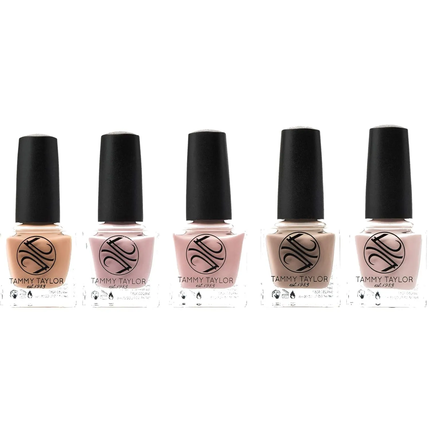Tammy Taylor Barely Beige | Entire Collection Bundle