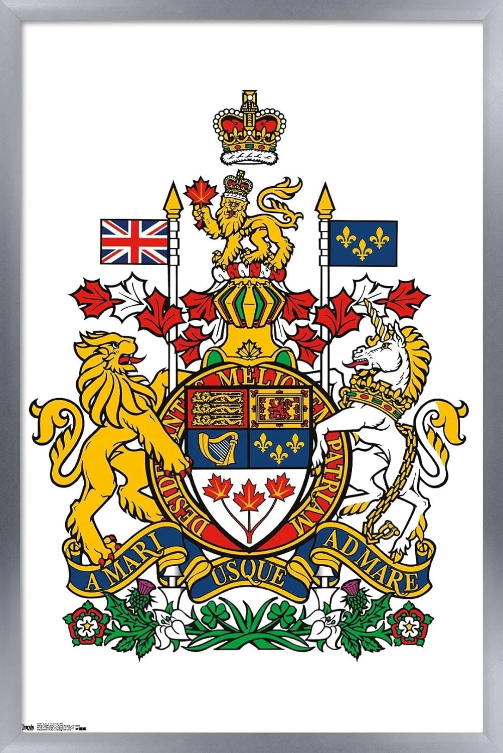 Trends International Canada - Coat of Arms Wall Poster, 22.375" x 34", Silver Framed Version