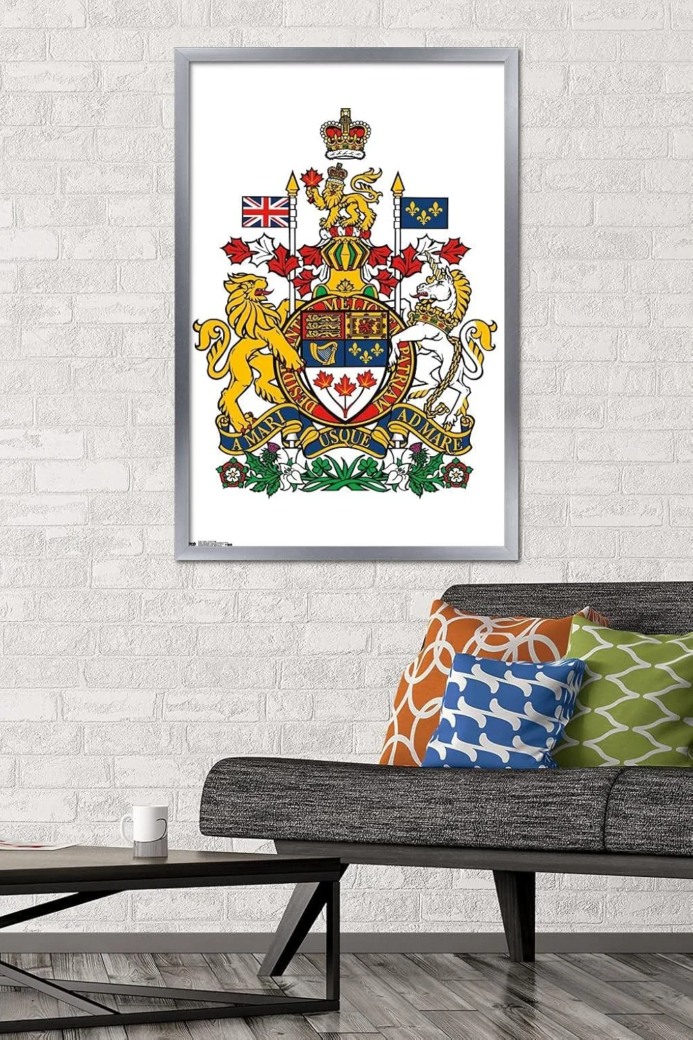 Trends International Canada - Coat of Arms Wall Poster, 22.375" x 34", Silver Framed Version
