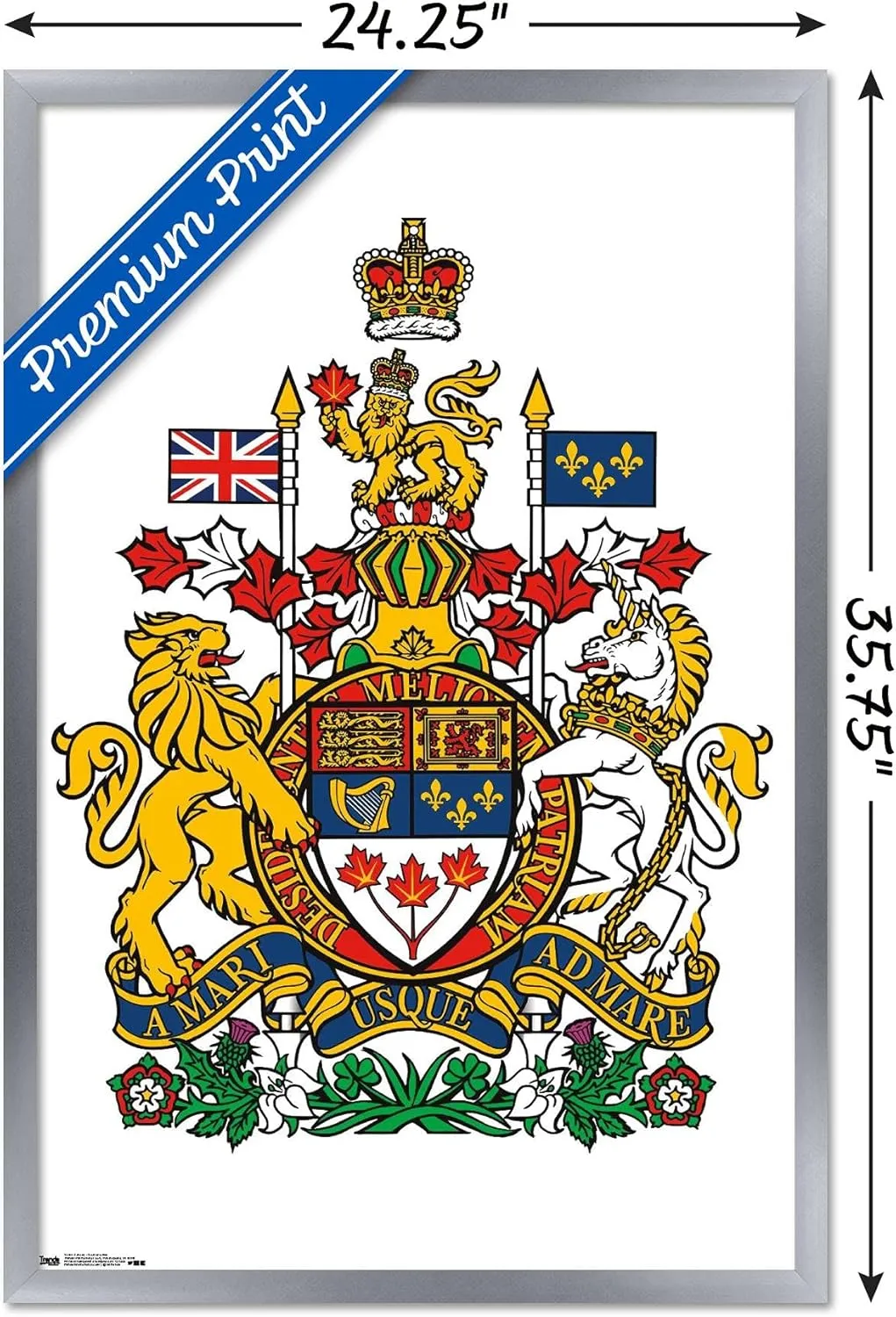 Trends International Canada - Coat of Arms Wall Poster, 22.375" x 34", Silver Framed Version