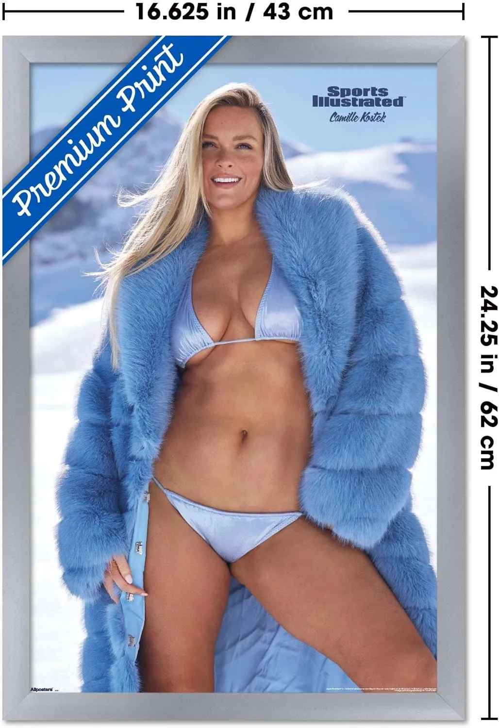 Trends International Sports Illustrated - Camille Kostek 25 Wall Poster, 22.4L x 14.7W, Silver Framed Version