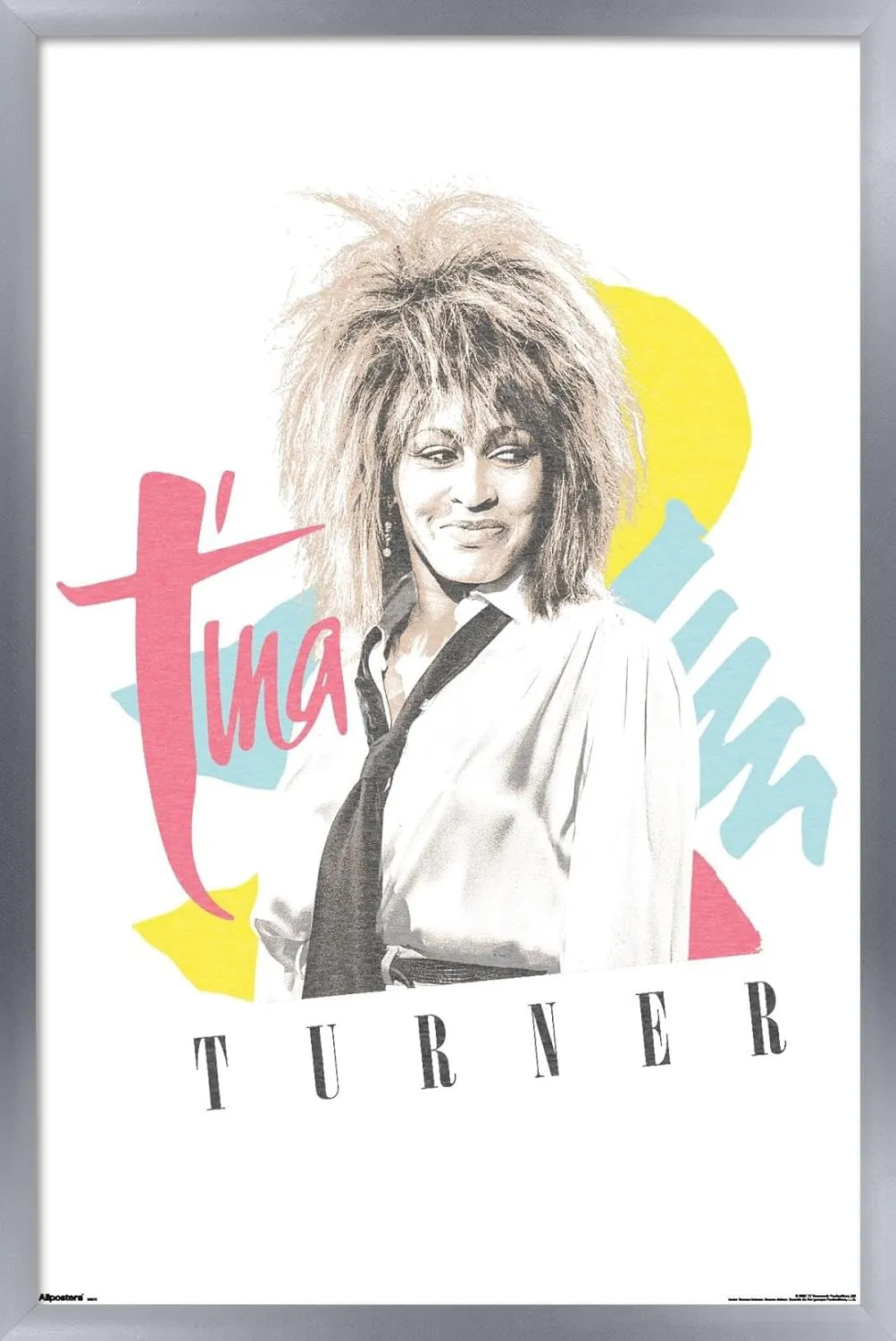 Trends International Tina Turner - Simply The Best Wall Poster, 22.4L x 14.7W, Silver Framed Version