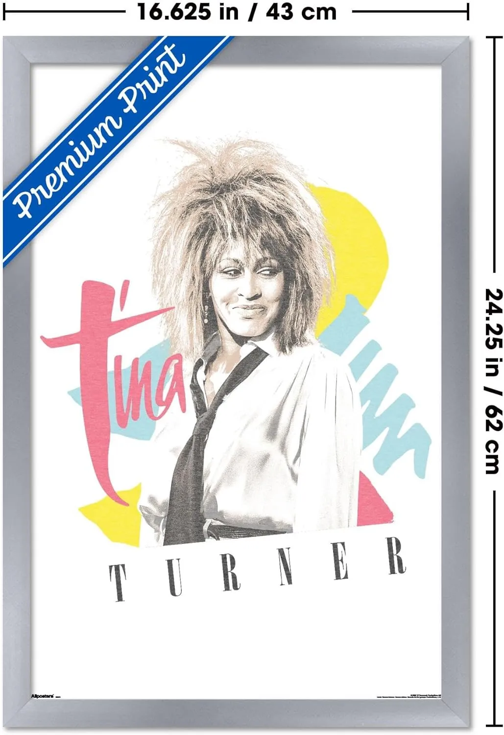 Trends International Tina Turner - Simply The Best Wall Poster, 22.4L x 14.7W, Silver Framed Version