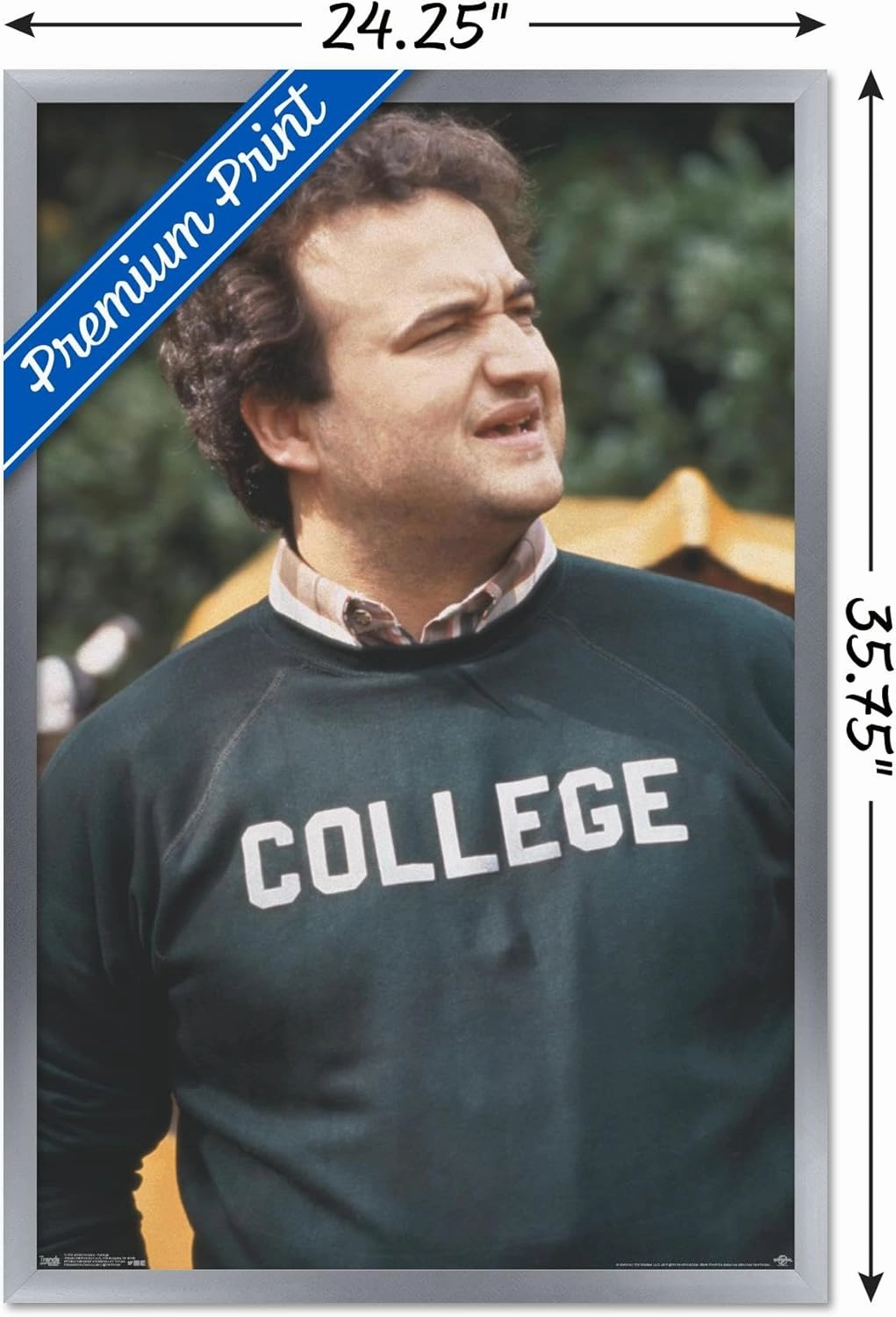 Trends International Animal House - John Belushi College Wall Poster, 22.375" x 34", Silver Framed Version