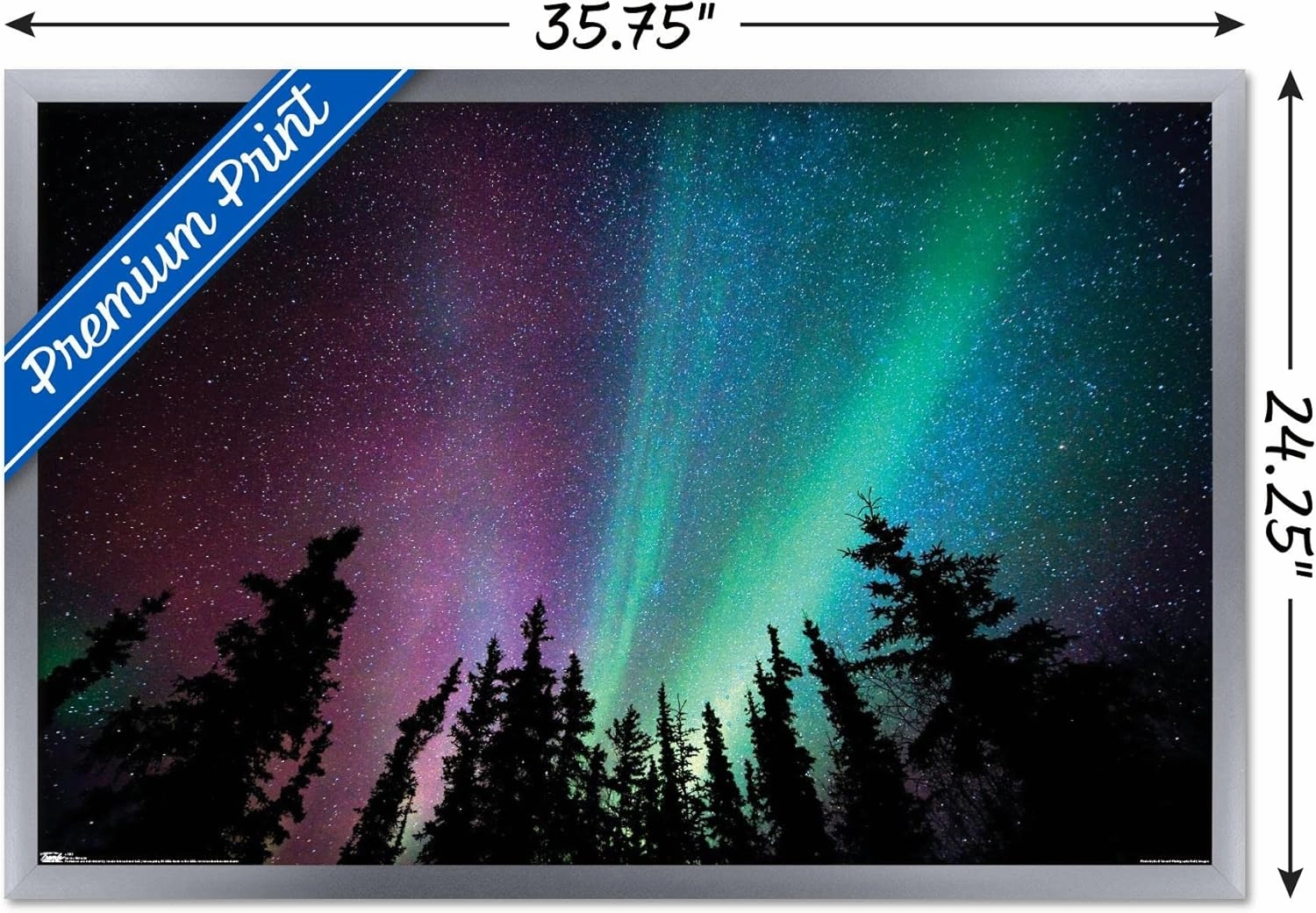 Trends International Aurora Borealis - Sky Wall Poster, 22.375" x 34", Silver Framed Version