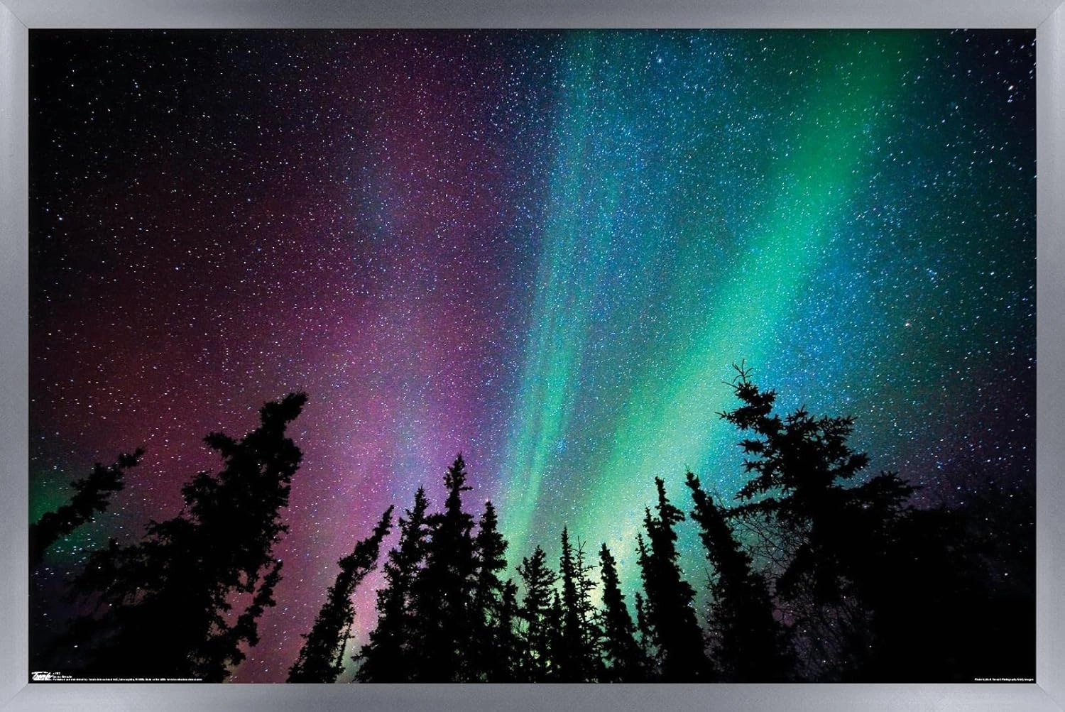 Trends International Aurora Borealis - Sky Wall Poster, 22.375" x 34", Silver Framed Version