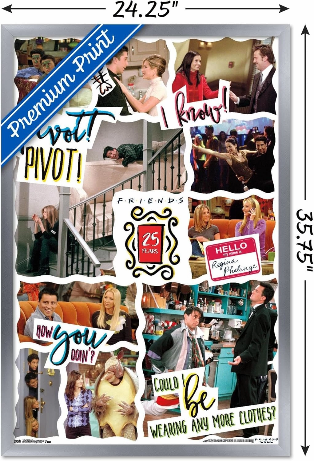 Trends International Friends - 25th Wall Poster, 22.375" x 34", Silver Framed Version