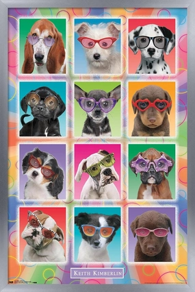 Trends International Keith Kimberlin - Puppies - Sunglasses Wall Poster, 22.375" x 34", Silver Framed Version