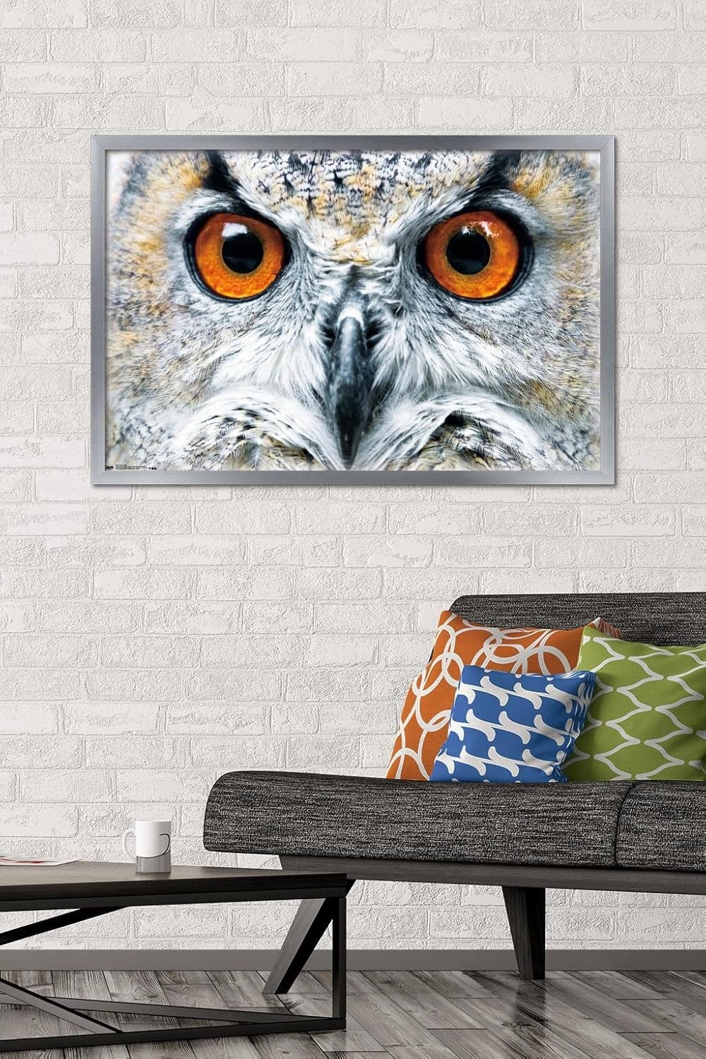 Trends International Owl - Close Wall Poster, 22.375" x 34", Silver Framed Version