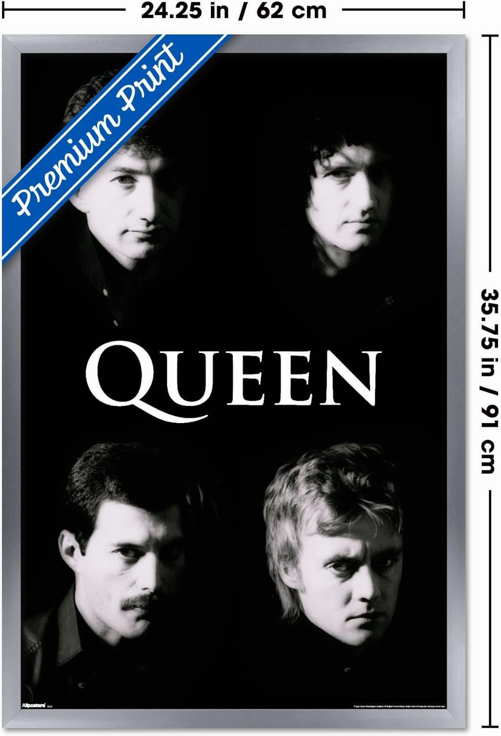 Trends International Queen - B&W Wall Poster, 34L x 22.4W, Silver Framed Version