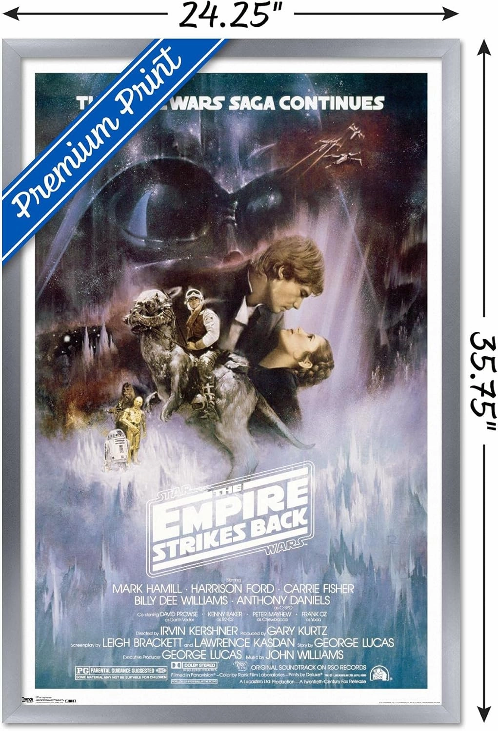 Trends International Star Wars: The Empire Strikes Back - The Saga Continues One Sheet Wall Poster, 22.375" x 34", Silver Framed Version