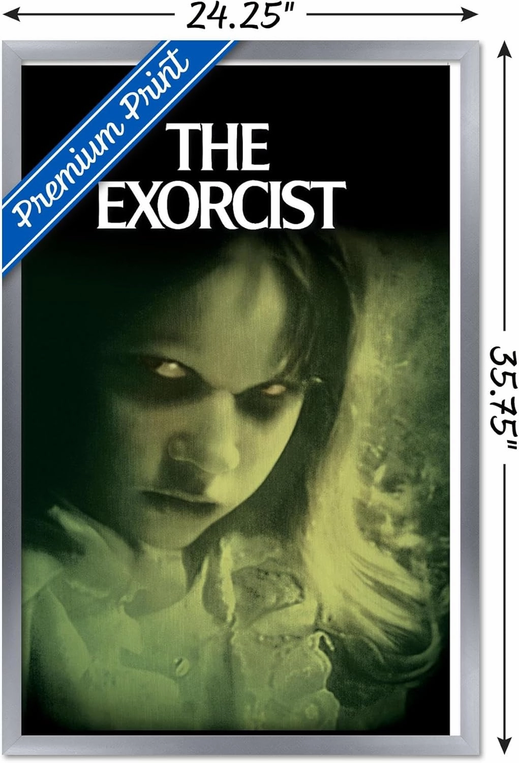 Trends International The Exorcist - Eyes Wall Poster, 34L x 22.4W, Silver Framed Version
