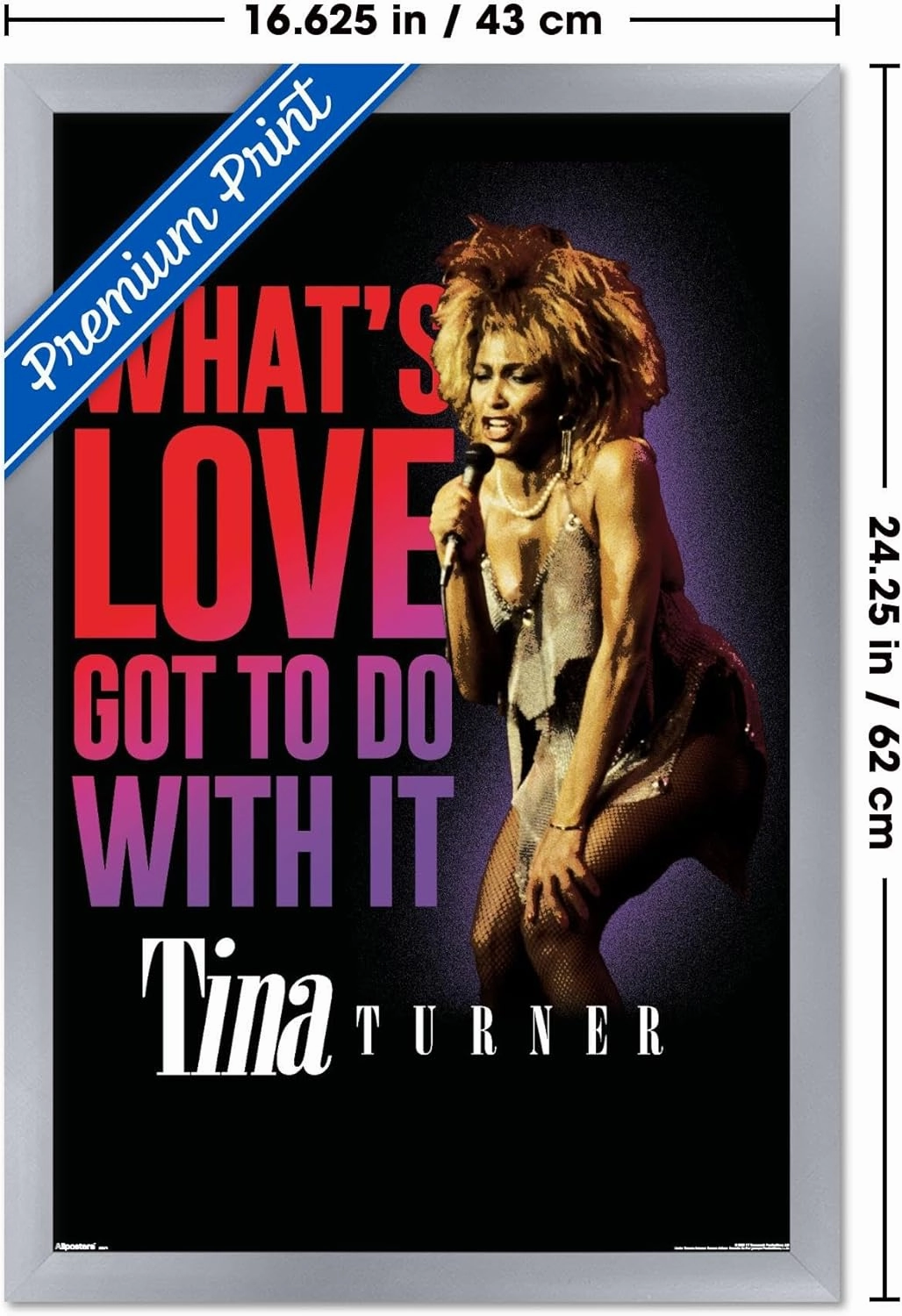 Trends International Tina Turner - What's Love Got To Do With It Wall Poster, 22.4L x 14.7W, Silver Framed Version