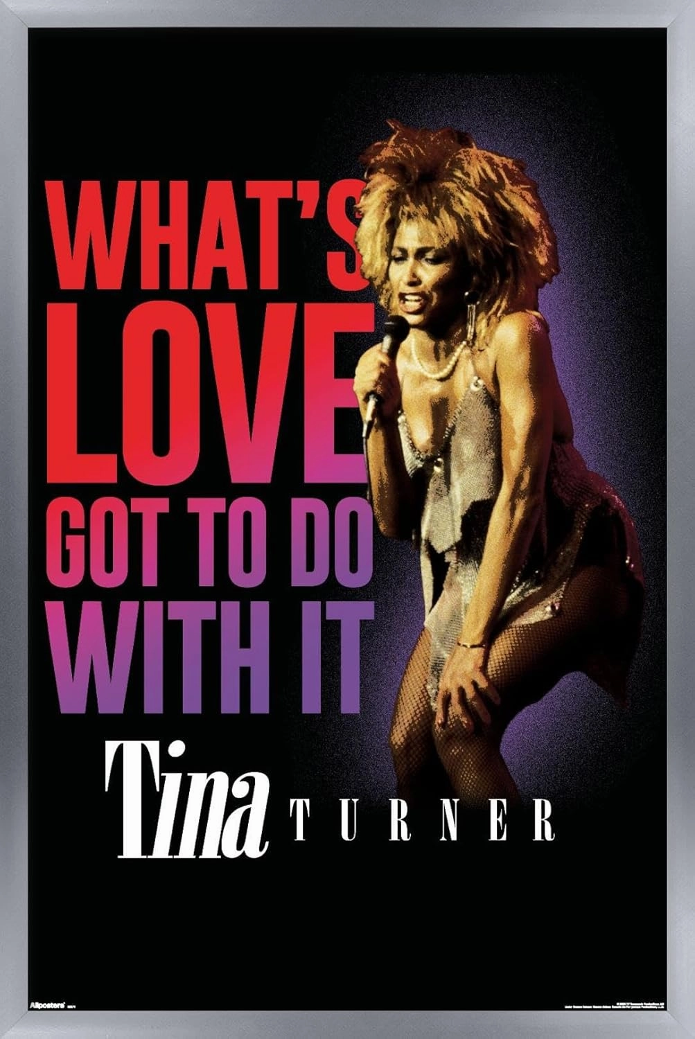 Trends International Tina Turner - What's Love Got To Do With It Wall Poster, 22.4L x 14.7W, Silver Framed Version
