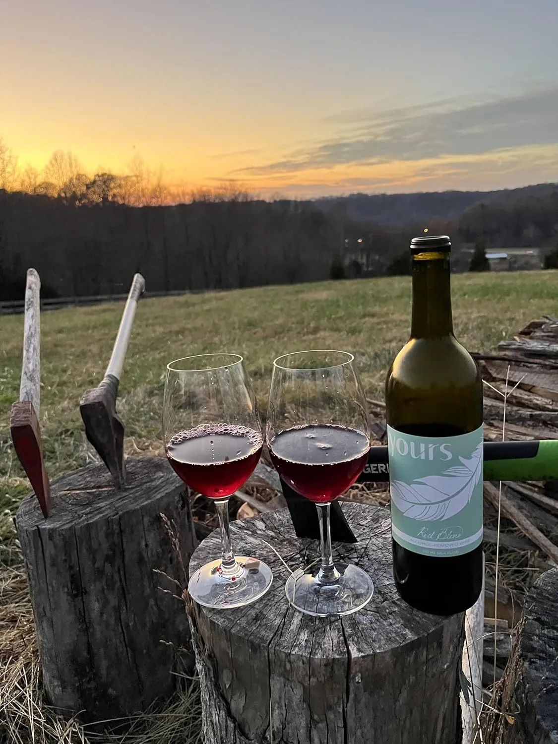 YOURS Non-Alcoholic Wine – “The Reds” 2-Pack Kit – Cabernet Sauvignon & California Red Blend, Award-Winning Alcohol-Free Red Wines – 2 x 750mL Bottles